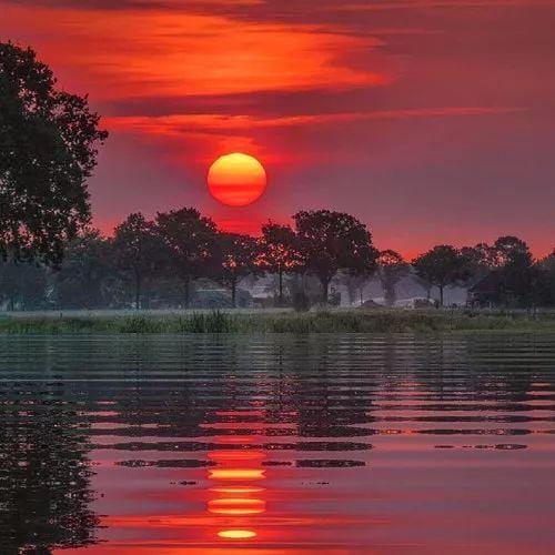 Catriona Gray avatar